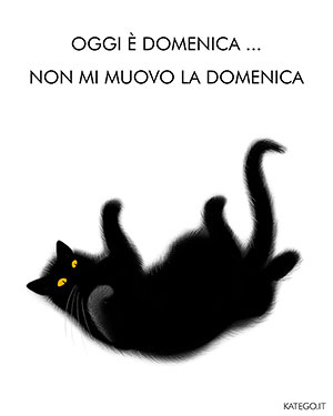 fumetti BLACK CATS LIFE katego.it