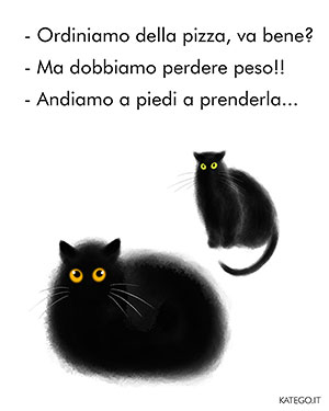 fumetti BLACK CATS LIFE katego.it