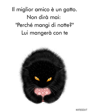 fumetti BLACK CATS LIFE katego.it
