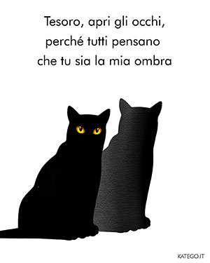 fumetti BLACK CATS LIFE katego.it
