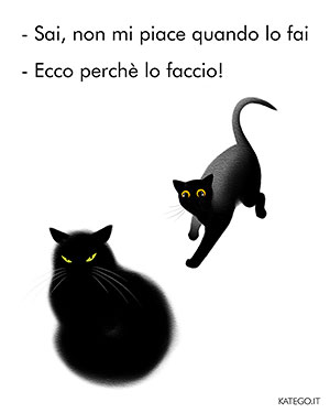 fumetti BLACK CATS LIFE katego.it