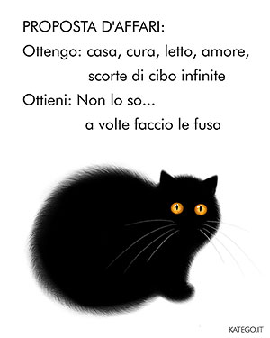 fumetti BLACK CATS LIFE katego.it