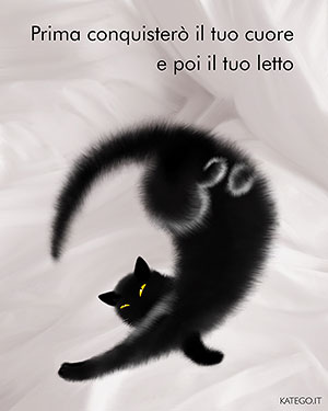 fumetti BLACK CATS LIFE katego.it