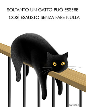 fumetti BLACK CATS LIFE katego.it