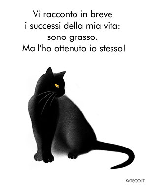 fumetti BLACK CATS LIFE katego.it