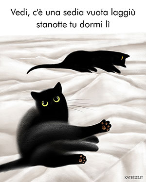 fumetti BLACK CATS LIFE katego.it