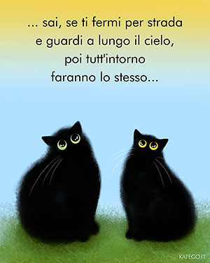 fumetti BLACK CATS LIFE katego.it
