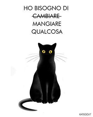 fumetti BLACK CATS LIFE katego.it