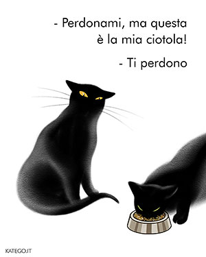 fumetti BLACK CATS LIFE katego.it