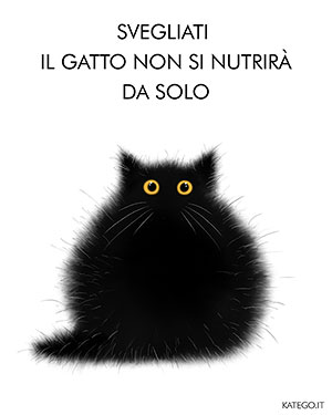 fumetti BLACK CATS LIFE katego.it