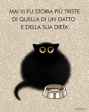fumetti BLACK CATS LIFE katego.it