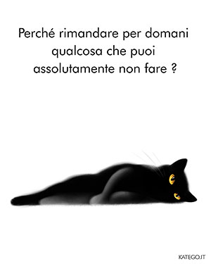 fumetti BLACK CATS LIFE katego.it