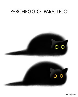 fumetti BLACK CATS LIFE katego.it