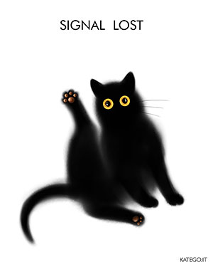 fumetti BLACK CATS LIFE katego.it