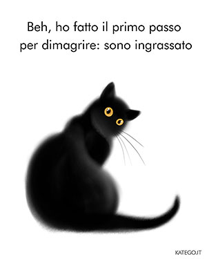 fumetti BLACK CATS LIFE katego.it
