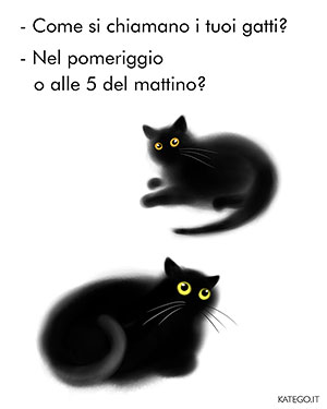 fumetti BLACK CATS LIFE katego.it