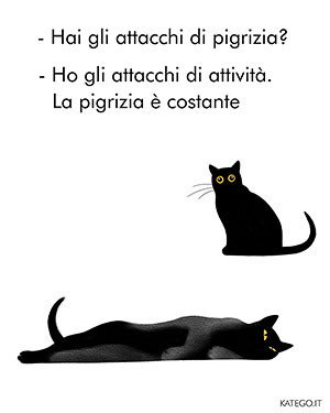 fumetti BLACK CATS LIFE katego.it