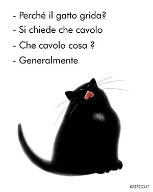 fumetti BLACK CATS LIFE katego.it