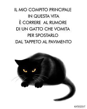 fumetti BLACK CATS LIFE katego.it