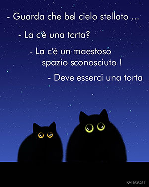 fumetti BLACK CATS LIFE katego.it