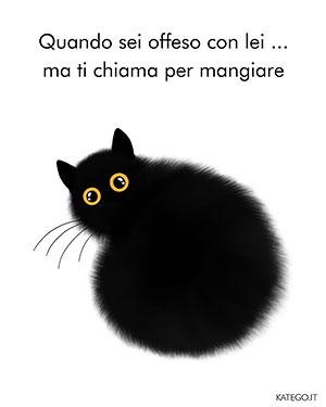 fumetti BLACK CATS LIFE katego.it
