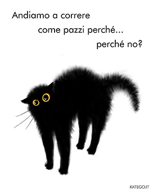 fumetti BLACK CATS LIFE katego.it