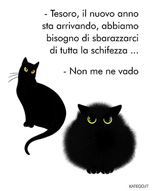 fumetti BLACK CATS LIFE katego.it