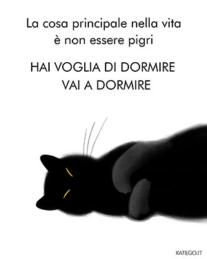 fumetti BLACK CATS LIFE katego.it