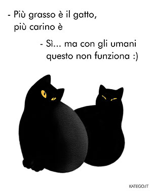 fumetti BLACK CATS LIFE katego.it