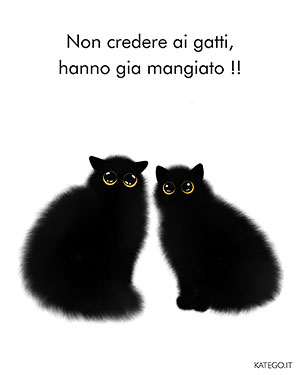 fumetti BLACK CATS LIFE katego.it