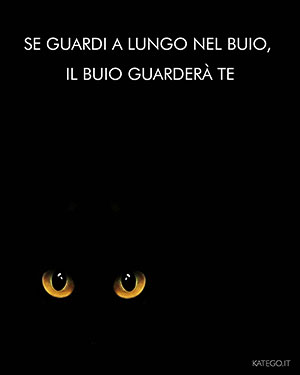 fumetti BLACK CATS LIFE katego.it