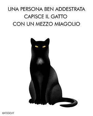 fumetti BLACK CATS LIFE katego.it