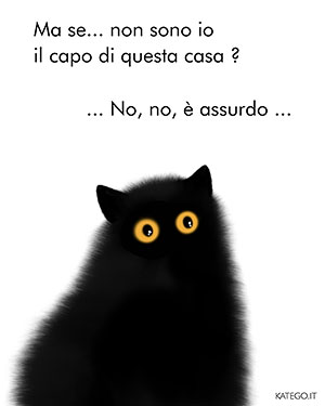 fumetti BLACK CATS LIFE katego.it