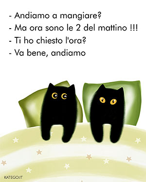 fumetti BLACK CATS LIFE katego.it