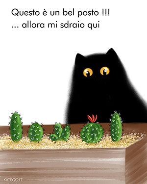 fumetti BLACK CATS LIFE katego.it