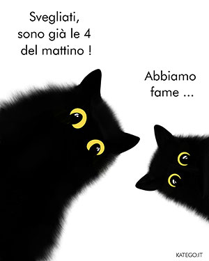 fumetti BLACK CATS LIFE katego.it