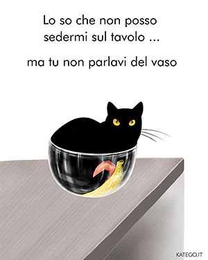 fumetti BLACK CATS LIFE katego.it
