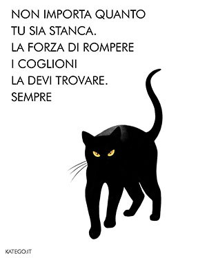 fumetti BLACK CATS LIFE katego.it