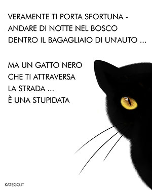 fumetti BLACK CATS LIFE katego.it