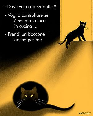 fumetti BLACK CATS LIFE katego.it