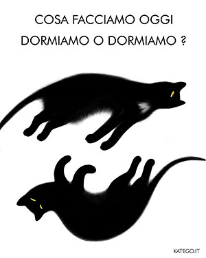 fumetti BLACK CATS LIFE katego.it