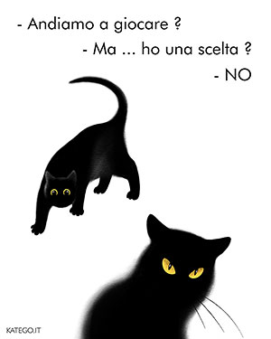 fumetti BLACK CATS LIFE katego.it