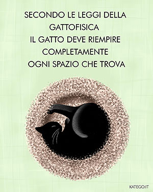 fumetti BLACK CATS LIFE katego.it