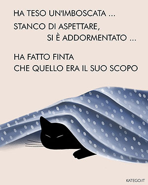 fumetti BLACK CATS LIFE katego.it