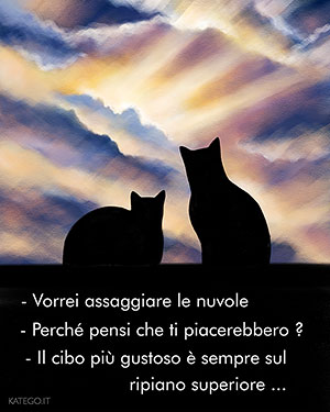 fumetti BLACK CATS LIFE katego.it