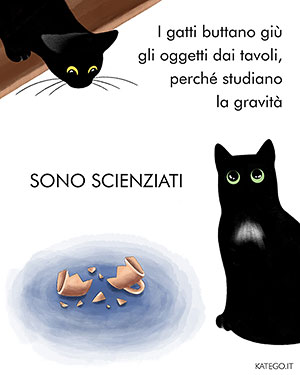 fumetti BLACK CATS LIFE katego.it