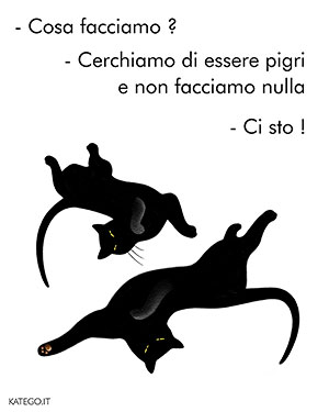 fumetti BLACK CATS LIFE katego.it
