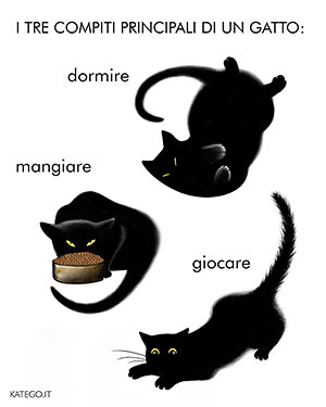 fumetti BLACK CATS LIFE katego.it