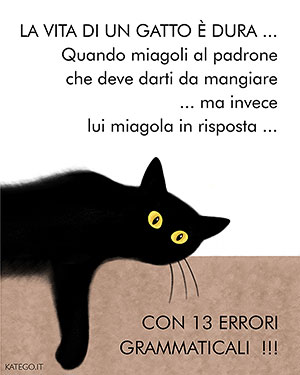 fumetti BLACK CATS LIFE katego.it