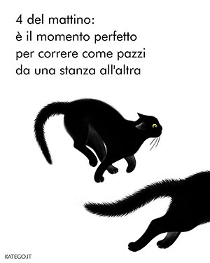 fumetti BLACK CATS LIFE katego.it